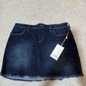 Carve Designs Dark Blue Denim Mini Skirt